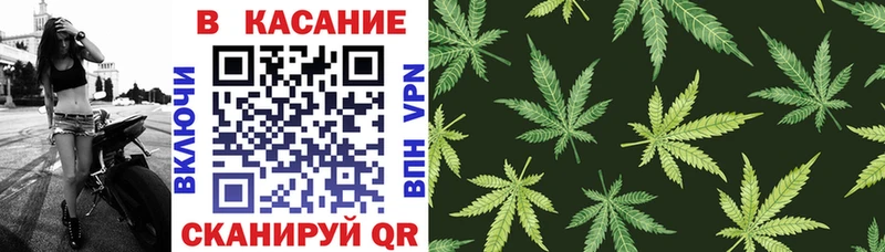 Псилоцибиновые грибы Псков
